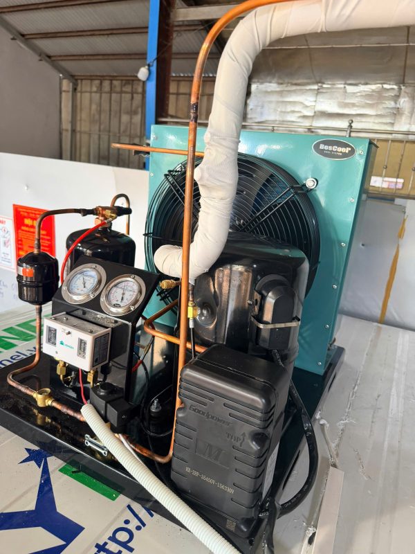 Công Ty TNHH Tổng Kho Đông Lạnh Miền Trung