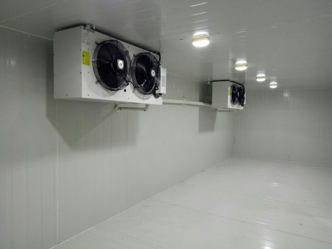 Công Ty TNHH Tổng Kho Đông Lạnh Miền Trung