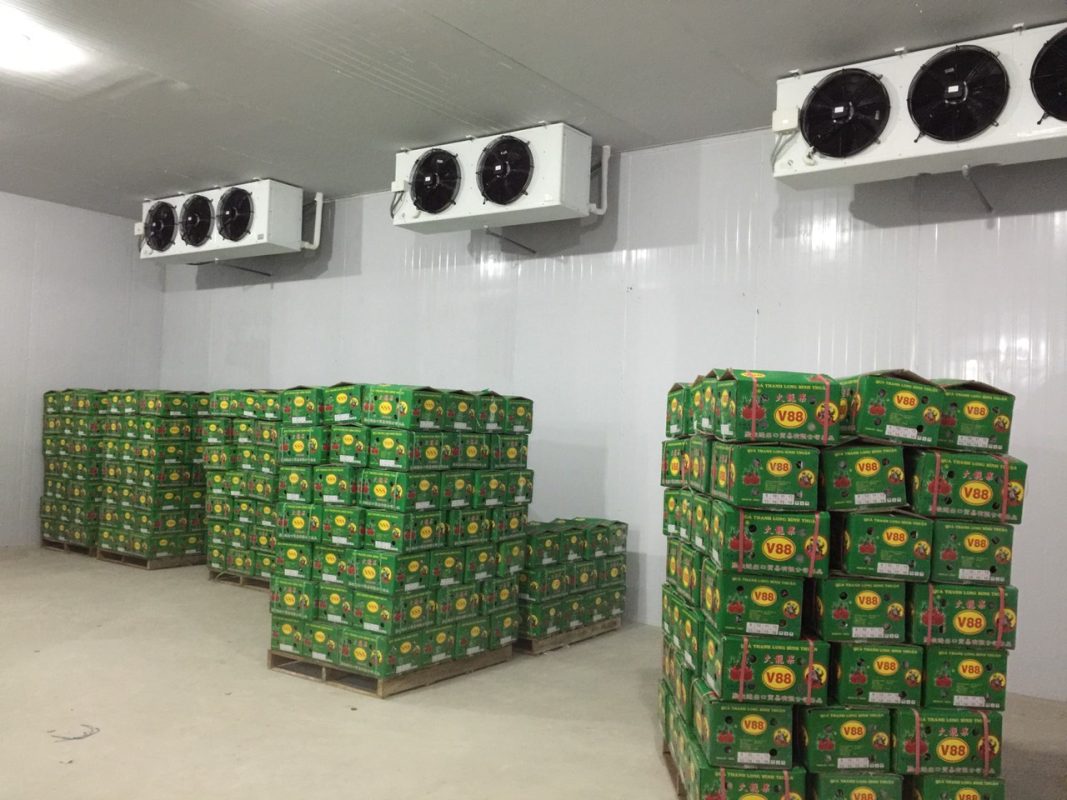 Công Ty TNHH Tổng Kho Đông Lạnh Miền Trung